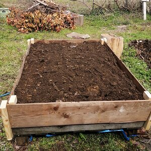 Filled it with homemade dirt, manure, perlite, and peat!