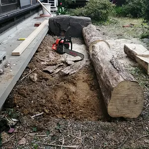 The day's progress.