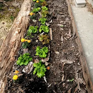 Back bed is coming along!