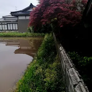Opposite angle of the back wall after cutting trees.