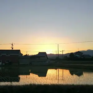 Sunrise off the rice patty