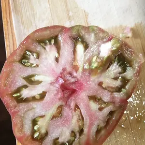 Inner workings of a black krim