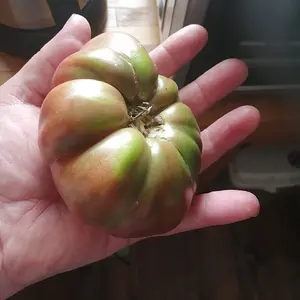 Usual Black Krim