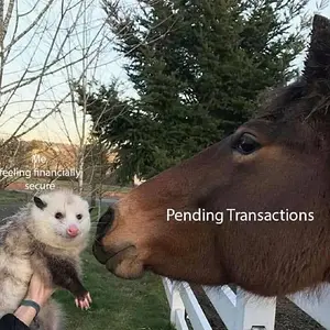 Finances