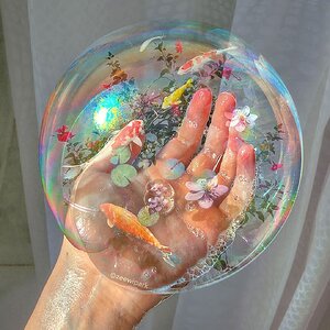 Koi Bubble