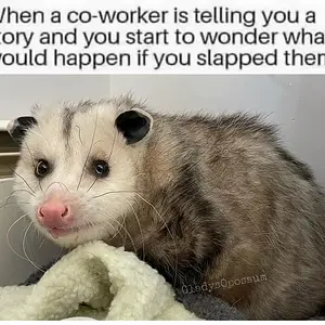2spicy4me