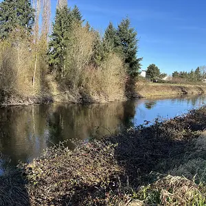 Sammamish River