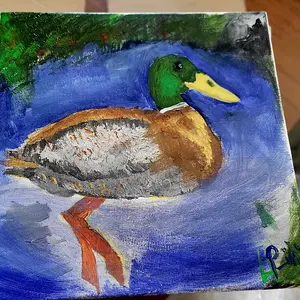 Duck.webp