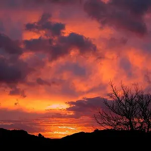 Sunset near Wellington NZ