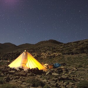 tent, sheep and stars