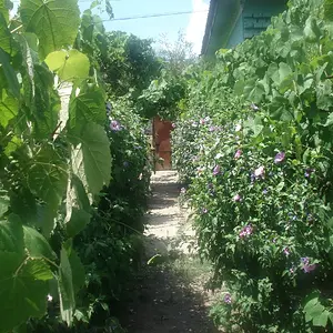 Path to Gate