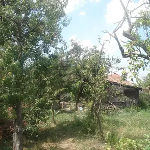 Garden Perspective