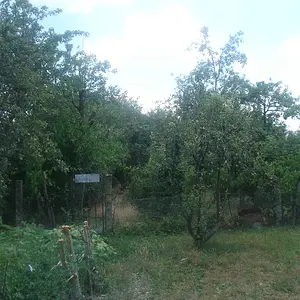 Garden Perspective 2