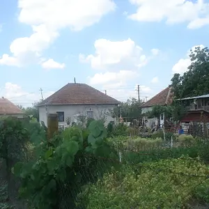 Neighbours House