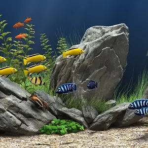 I love a good aquarium