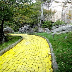 The Broken Yellow Brick Road
