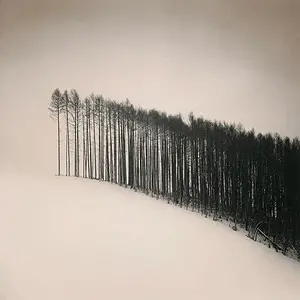 Blade of Fir