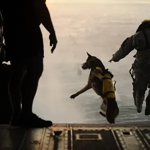 Navy S.E.A.L.S
