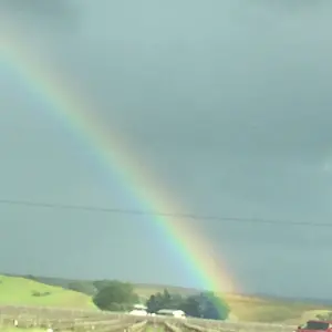 Wine Country Rainbow, near Pismo, CA