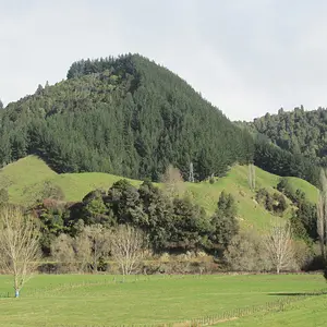 Kiwi countryside