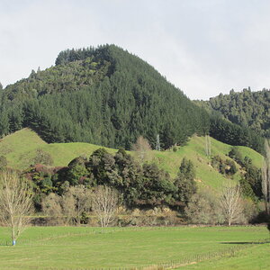 Kiwi countryside
