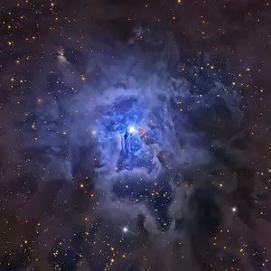Iris Nebula