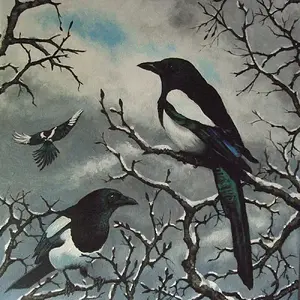 Magpies