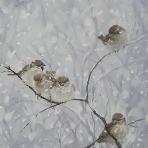 Sparrows