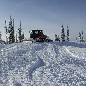 at paradise on mount rainier