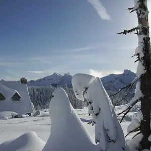 at paradise on mount rainier