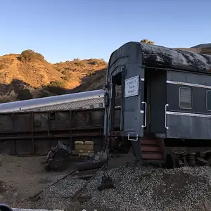 Search Dog Trainwreck