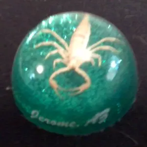 jerome arizona scorpion