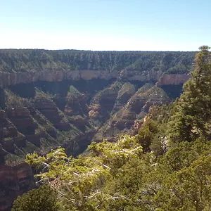 North Rim Grand Canyon