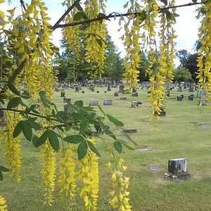 old pioneer cemetery in sumner wa