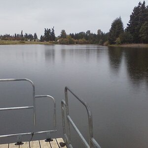 fishing dock where i have caught a many a fish