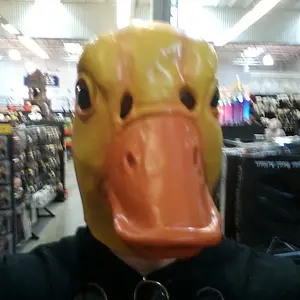 Gary The Duck