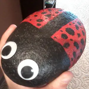 ladybug rock