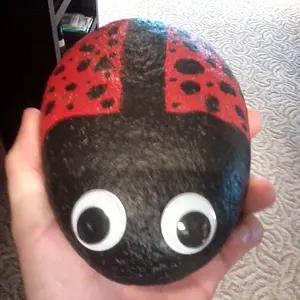 ladybug rock