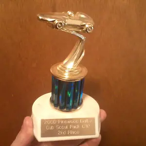 my cub scouts trophy