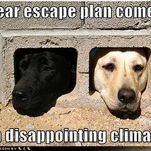 5 year escape plan