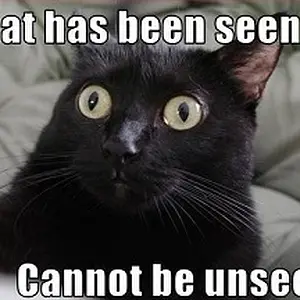 What Has Been Seen