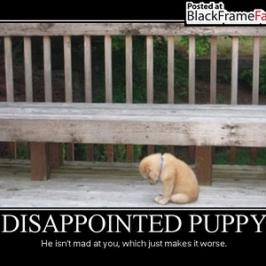Sad Puppy