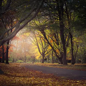 Queens Park, Hunterville, New Zealand