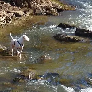 Bonnie @ Chittenango Creek