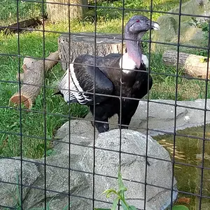 20160625_193426
