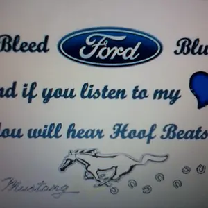 i was born around ford and i love ford :)