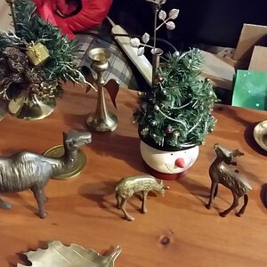 The Brass Menagerie