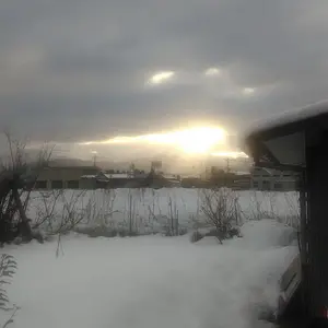 Beautiful sunrays