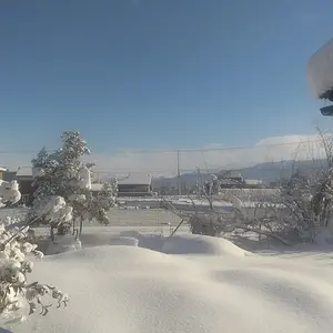 Snowy Friday