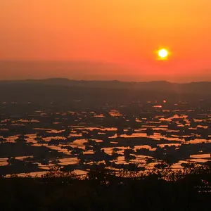 Sunset over rice patties